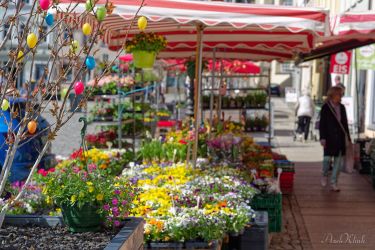 bild chemnitz