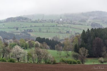 bild chemnitz